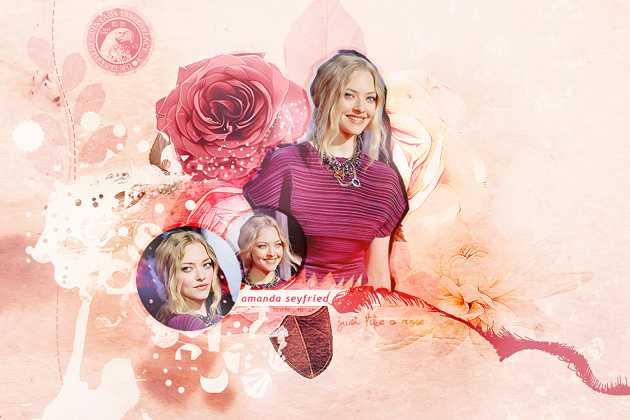 SEYFRIED-NET  everything about Amanda Seyfried 